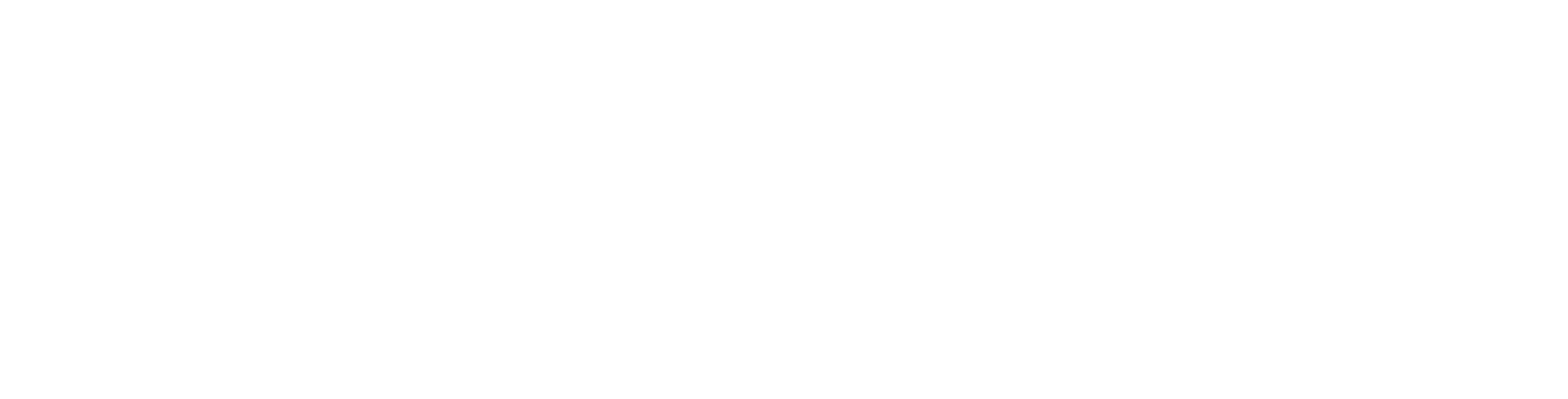 PLYR L1 NETWORK